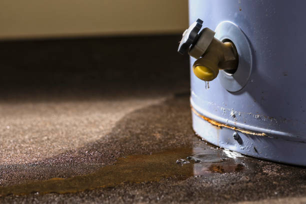 Best Basement water damage restoration  in Fernandina Beach, FL