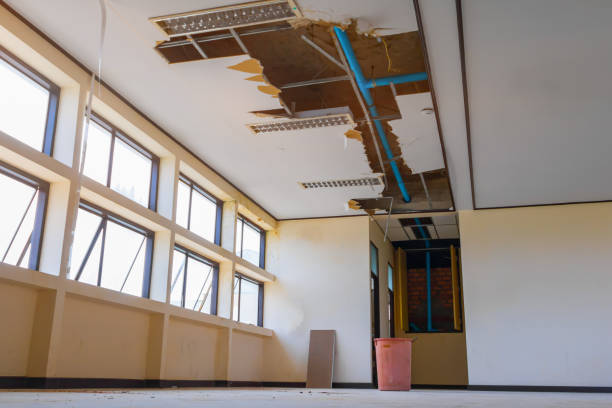 Best Water damage restoration experts  in Fernandina Beach, FL