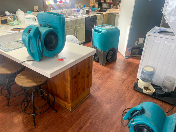 Best Water damage cleanup near me  in Fernandina Beach, FL