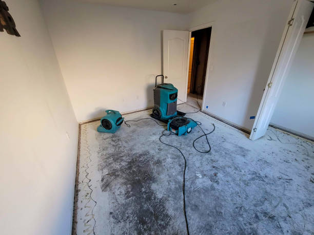 Best Ceiling water damage repair  in Fernandina Beach, FL