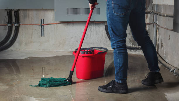 Water damage restoration experts in FL